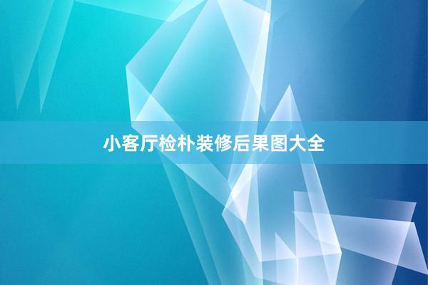 小客厅检朴装修后果图大全