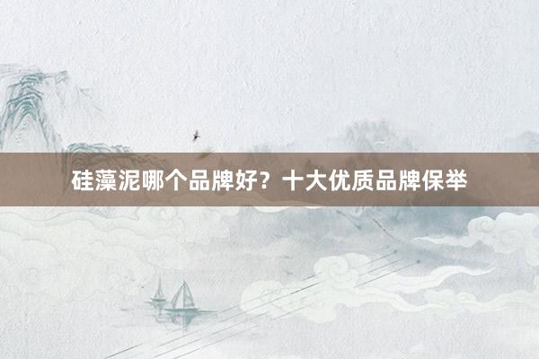 硅藻泥哪个品牌好？十大优质品牌保举